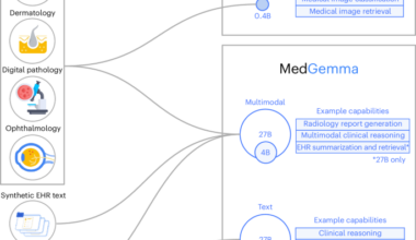 An open vision-language model for diverse medical applications