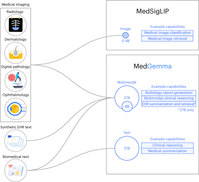 An open vision-language model for diverse medical applications