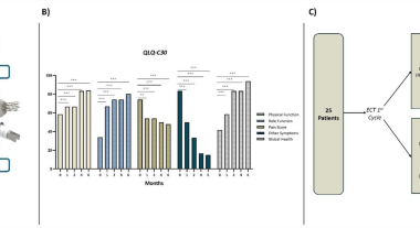 Electrochemotherapy in large and deep-seated soft tissue sarcomas: a pilot study on tumor control, limb preservation, and symptom relief