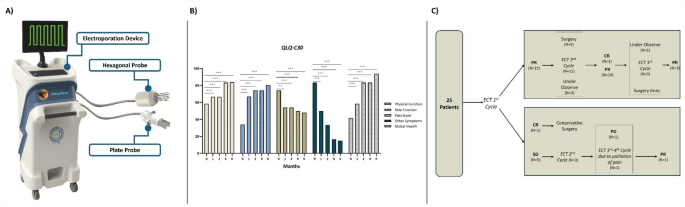 Electrochemotherapy in large and deep-seated soft tissue sarcomas: a pilot study on tumor control, limb preservation, and symptom relief