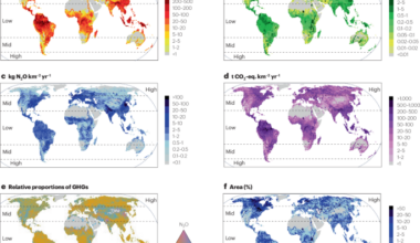 Importance, drivers and trends of inland water greenhouse gas emissions