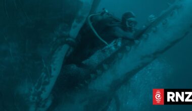 Whalefall: Could a whale really swallow a human? - RNZ