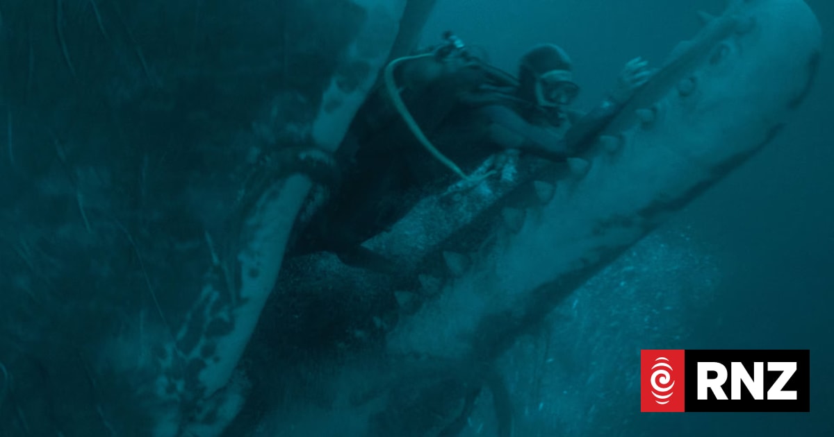 Whalefall: Could a whale really swallow a human? - RNZ