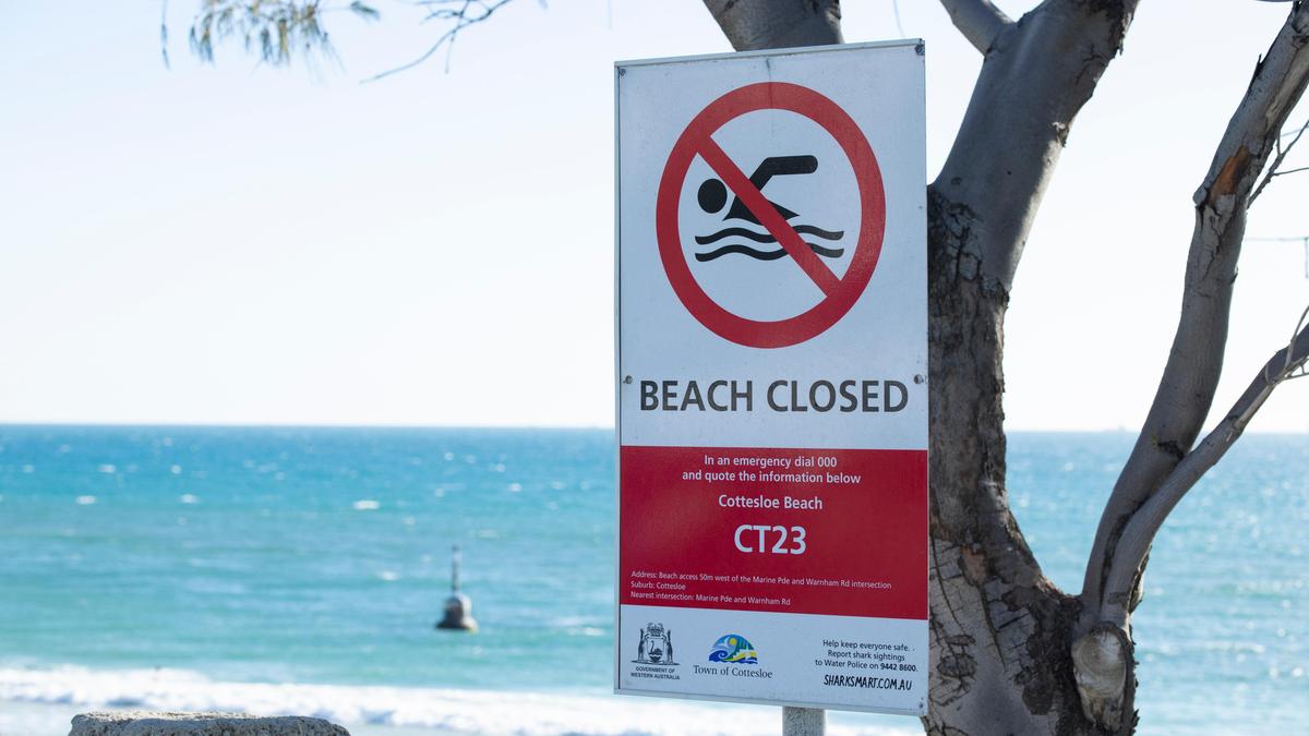 Shark warning as Perth beaches closed: City beach closed to swimmers due to ongoing shark threat
