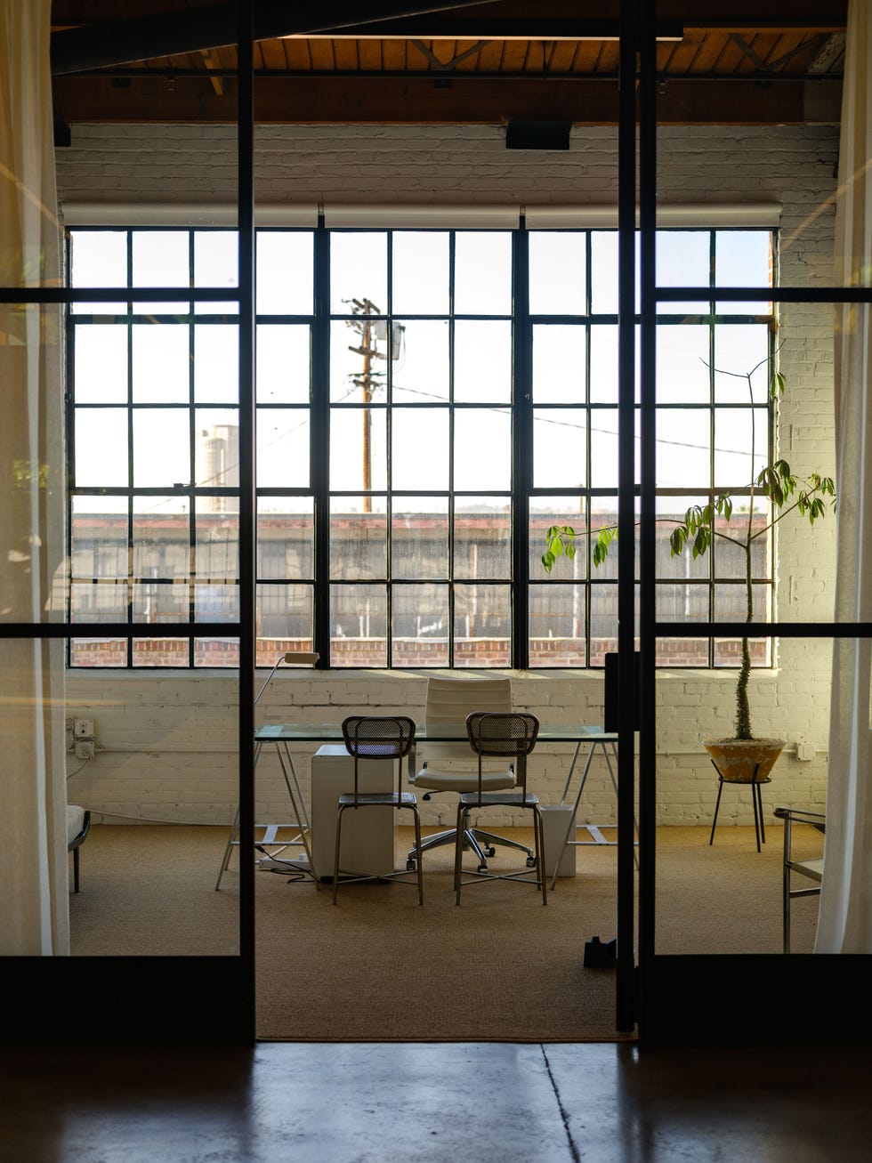 Bright workspace with large windows, a glass table, and metal chairs, featuring a plant and neutral decor.