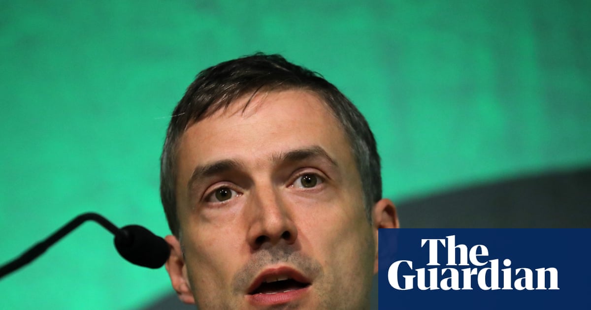 Ex-Greens co-leader urges council groups to reject Zionism policy | Green party