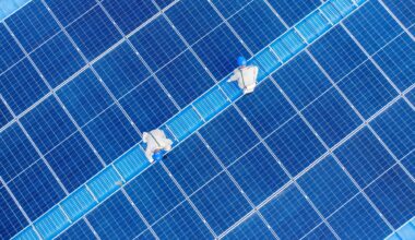 Germany and China in the cleantech sector: Between opportunities, competition and location policy