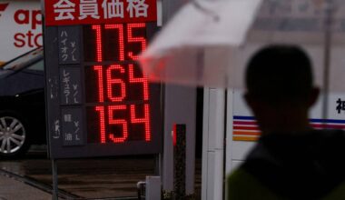 Government to review gasoline subsidies as costs mount