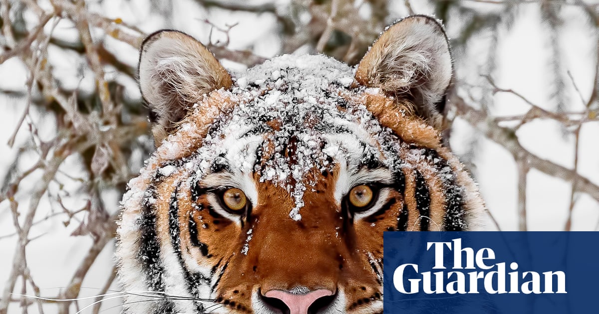 World must change way it produces food to avoid biodiversity collapse, says WWF | WWF
