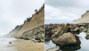 National Geographic Photographer Tips for Taking Pictures on a Phone
