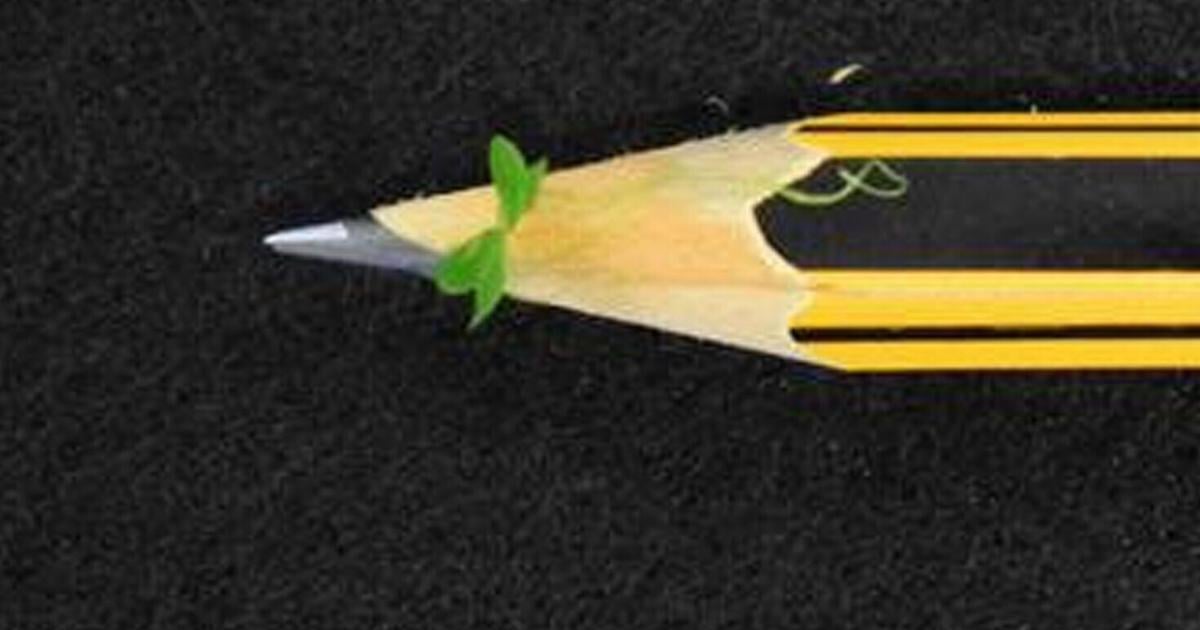 World’s tiniest flowering plant could feed deep space astronauts | News