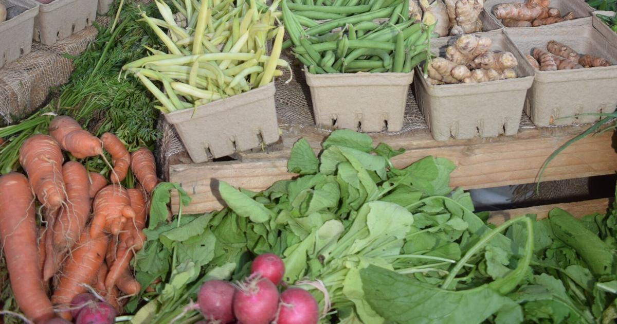 Why Canadian grocery prices face a 'triple threat' - Inside Halton