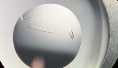 Plants use molecular ‘measuring tape’ to tell friend from foe | National