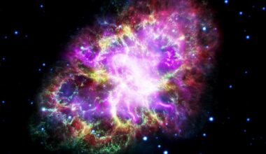 Physicists believe ‘forgotten’ particle could explain existence | News
