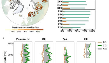 Newswise: Human activity erodes climate-driven Arctic greening