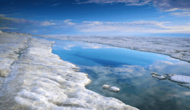 It’s the size of Key West in Florida, 300 years old, buried 1,000km beneath Arctic ice – and is home to thousands of giant animals