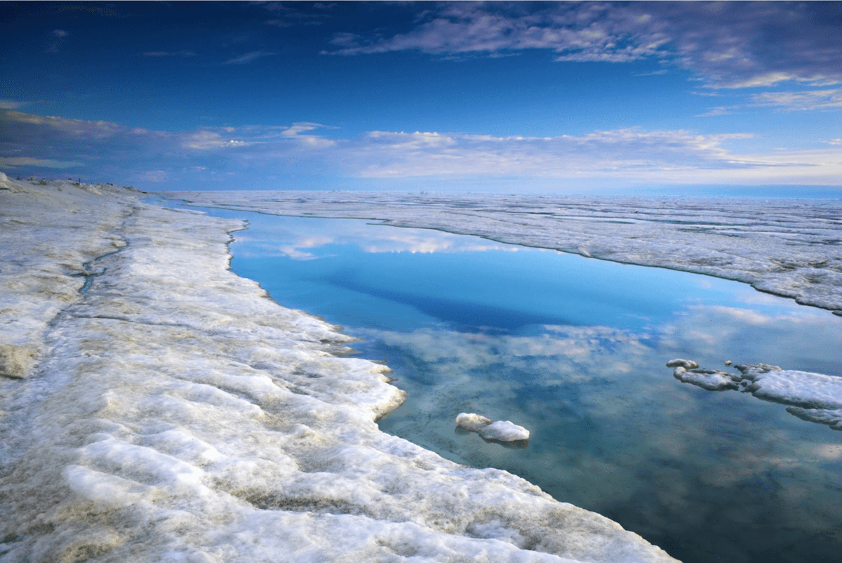It’s the size of Key West in Florida, 300 years old, buried 1,000km beneath Arctic ice – and is home to thousands of giant animals