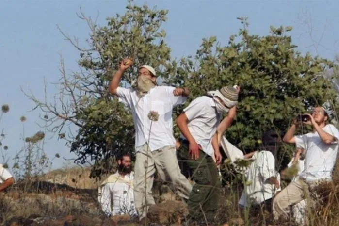 Israeli Forces Arrest Two Palestinians After Settlers Attack Olive Pickers in Masafer Yatta - شبكة يافا الإخبارية