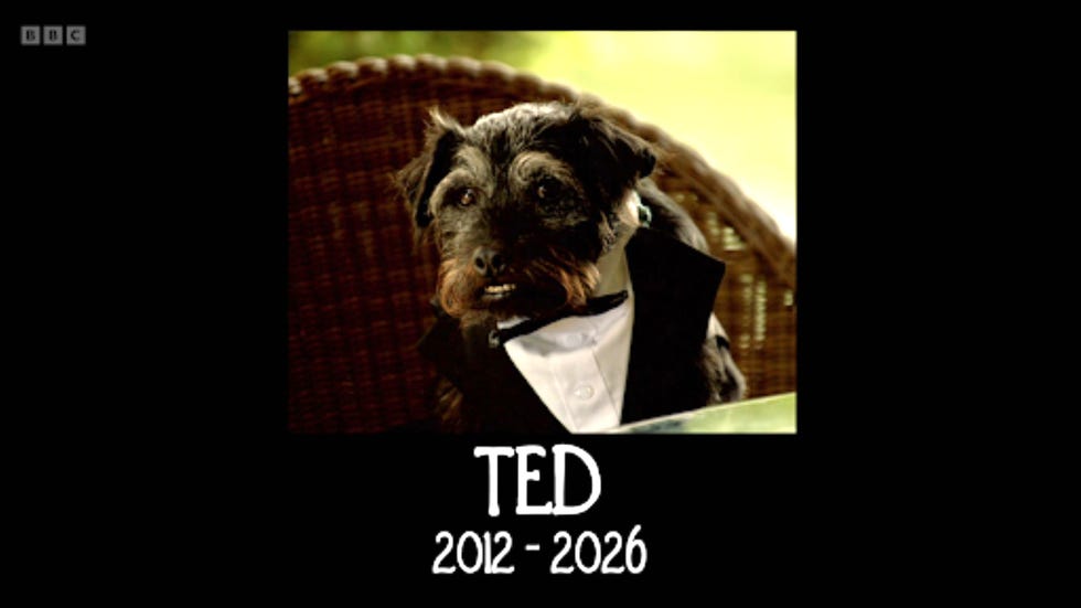 gone fishing ted the dog dog in a tuxedo with dates 2012 2026 underneath.