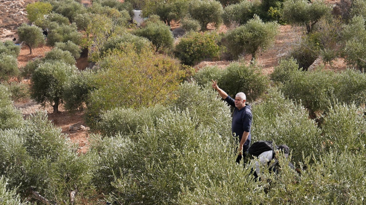 The Jerusalem Post - Israel News