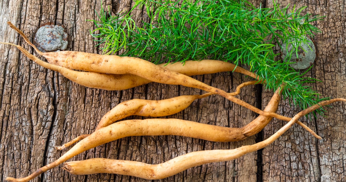 Shatavari root extract may support women’s sexual wellness