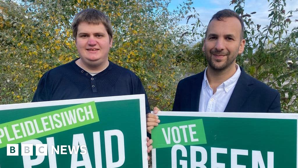 Welsh Green Party deputy Phil Davies resigns over Zionism motion - BBC