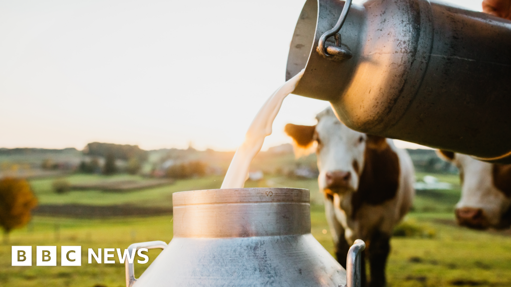 Dairy farmers still producing milk at a loss despite rising prices - BBC