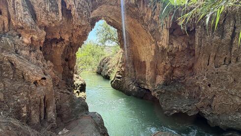 The Galilee stream turning into one of Israel’s most talked-about swimming spots