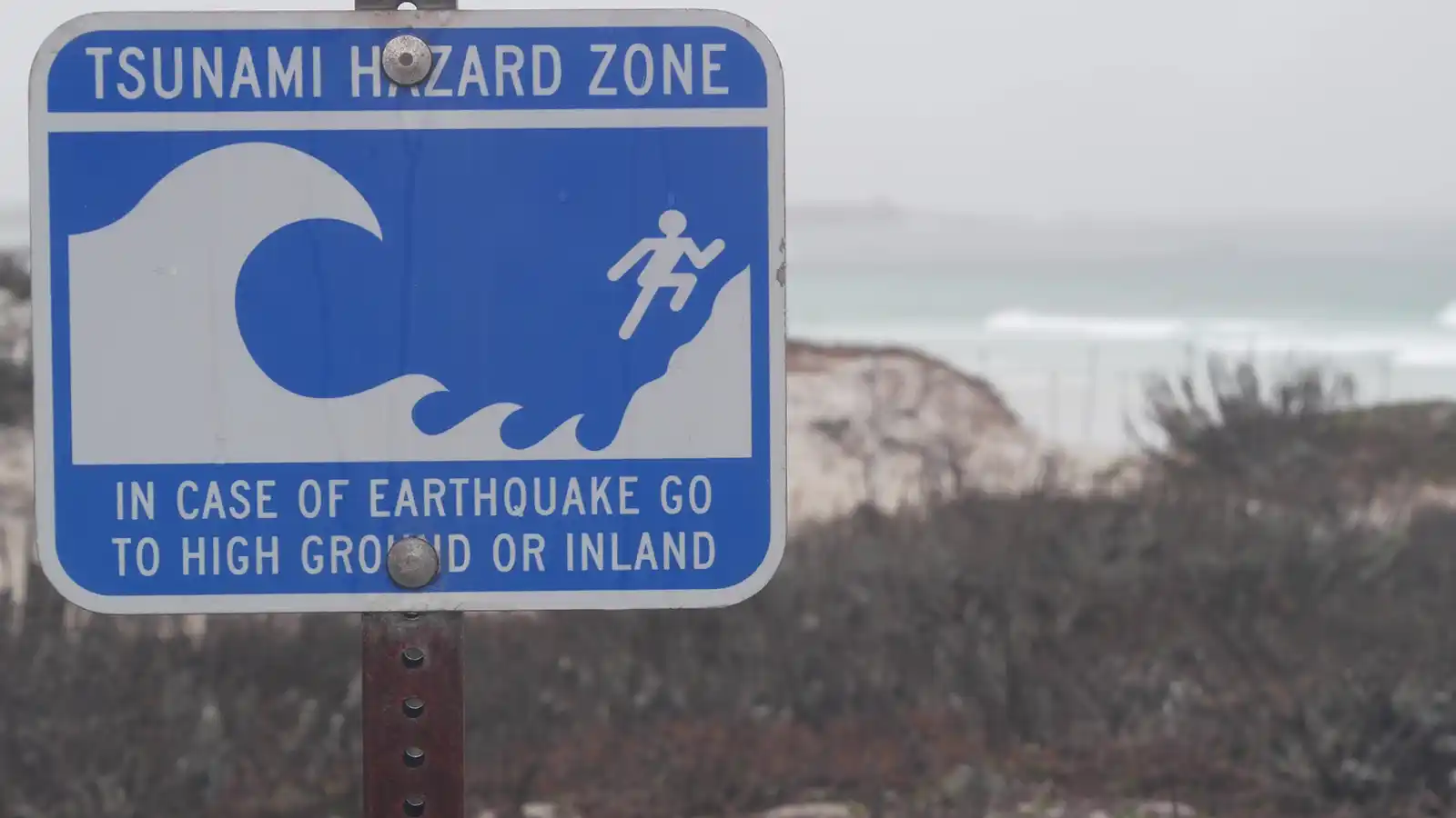 Tsunami