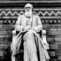 Darwin