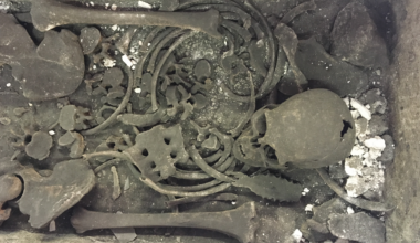 the upper half of a human skeleton in a sarccophagus