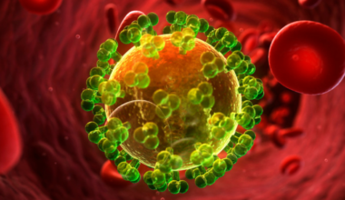 One Dose of Experimental Antibody Kept HIV-Like Virus in Remission For 4 Years in a Monkey : ScienceAlert