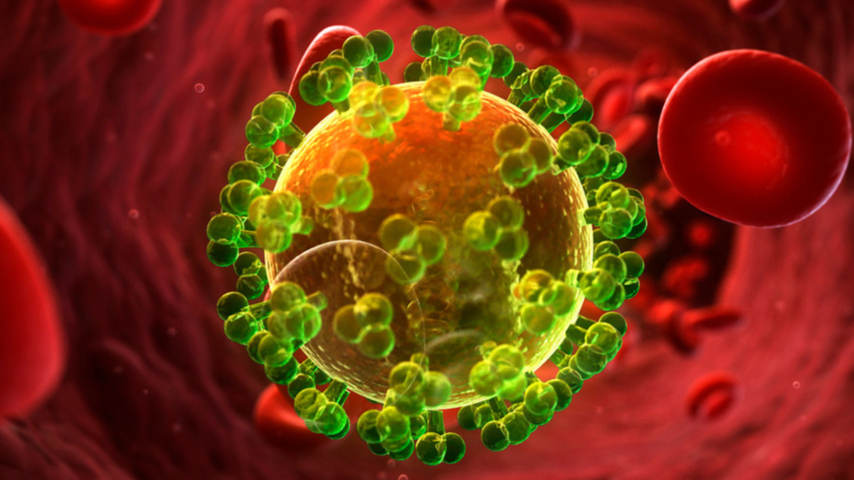 One Dose of Experimental Antibody Kept HIV-Like Virus in Remission For 4 Years in a Monkey : ScienceAlert