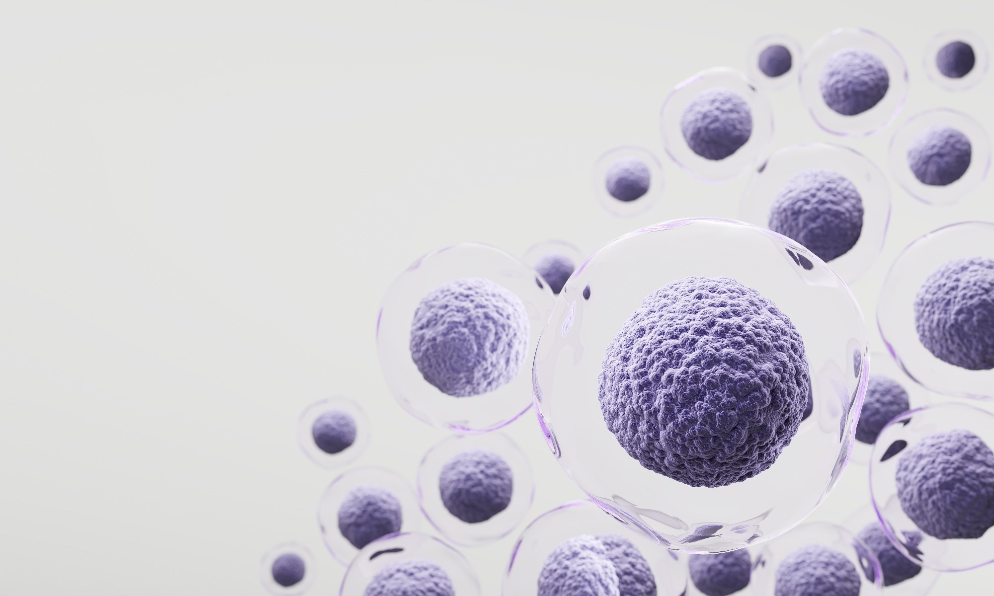 Stem cell illustration