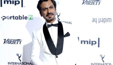 Nawazuddin Siddiqui to Star as Delhi Street Detective in 'Kabootar'