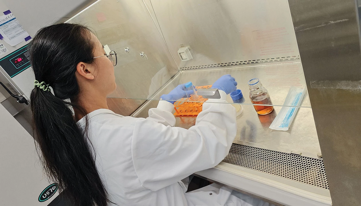 HydRegen raises funds for cell-free hydrogenase