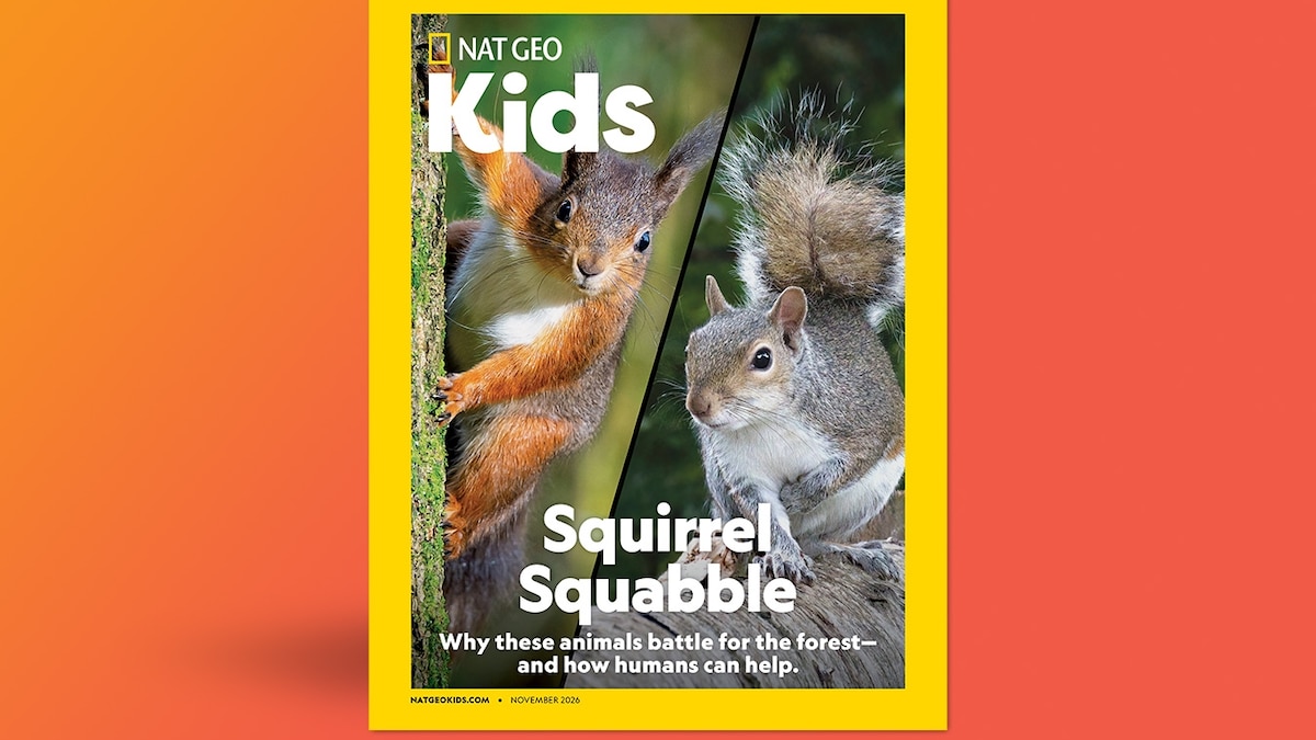 National Geographic Kids Logo - Home