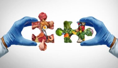Protein and fiber: What food formulators can learn about benefits stacking