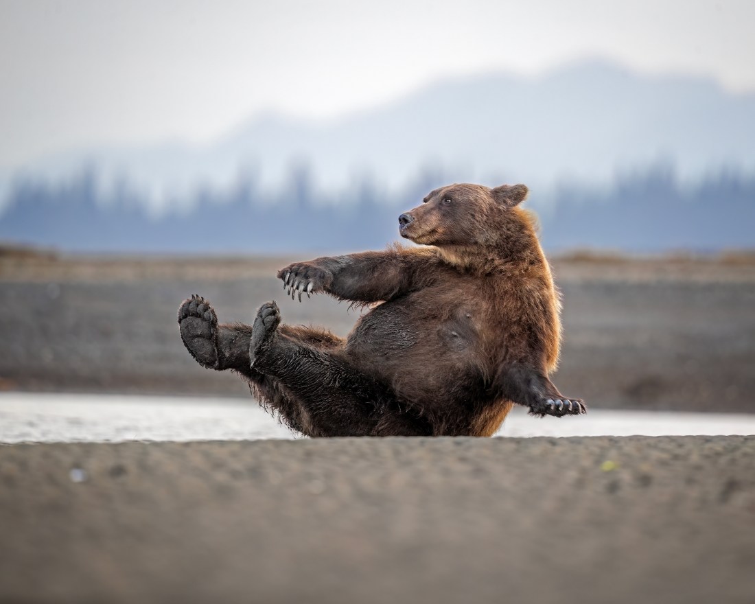 Morning Calisthenics