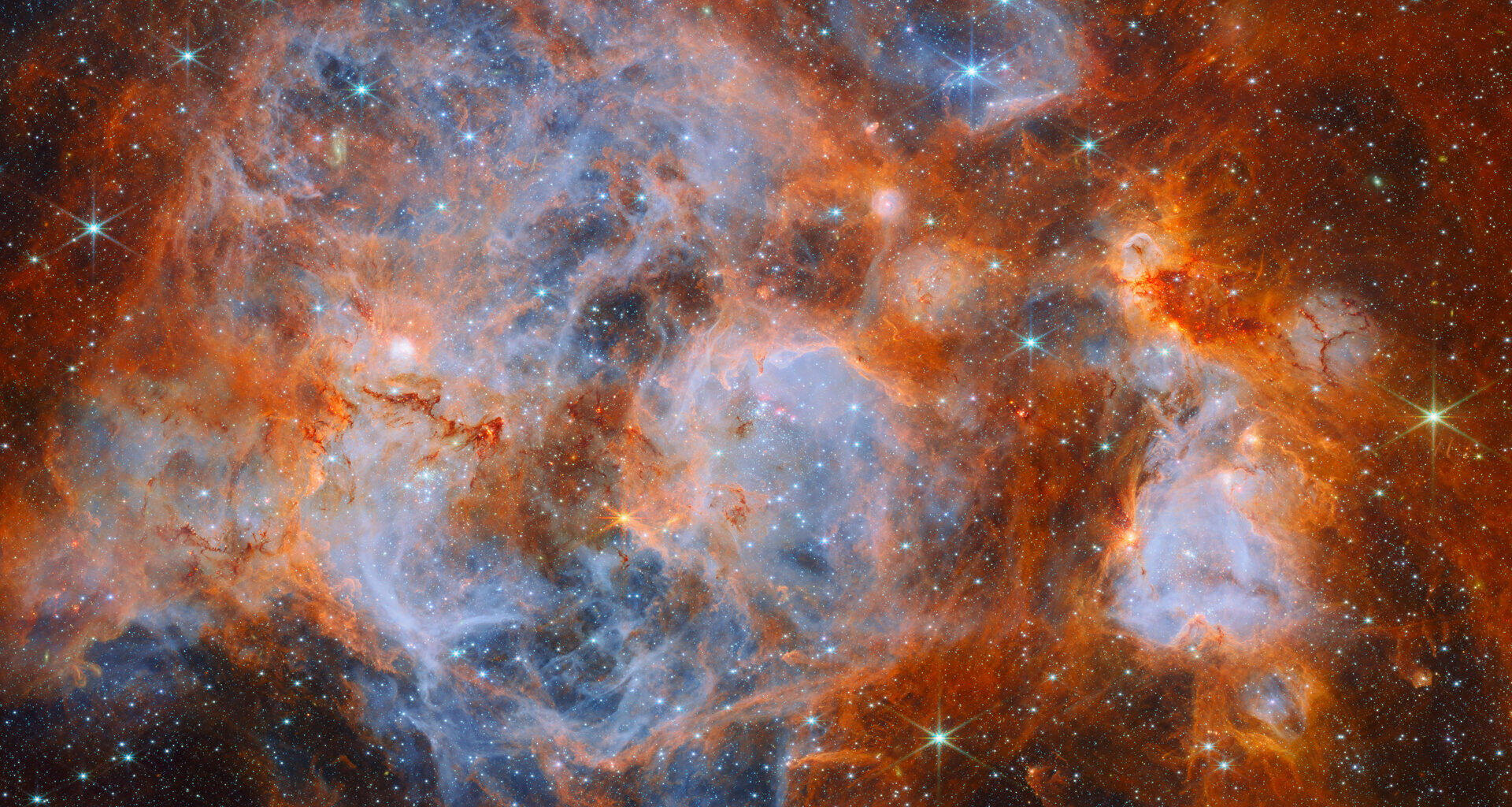 Stars brewing in a nebulous cauldron