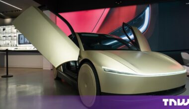 Musk says Tesla’s robotaxis still cannot reliably see pets at night