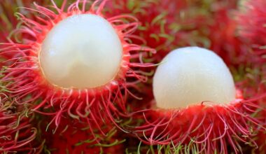 Study: Upcycled rambutan peel extract holds promise as supplement ingredient
