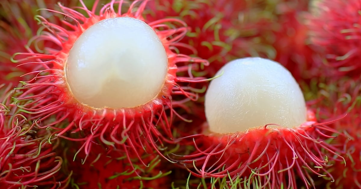 Study: Upcycled rambutan peel extract holds promise as supplement ingredient