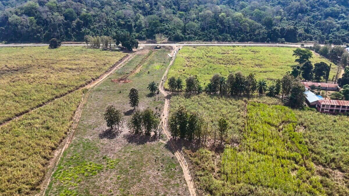 A protected wildlife corridor allows elephants to move between Tanzania’s Udzungwa Mountains and Nyerere National Park. (Photo: Southern Tanzania Elephant Program) A protected wildlife corridor allows elephants to move between Tanzania’s Udzungwa Mountains and Nyerere National Park.