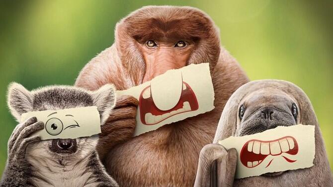 underdogs-nat-geo-key-art