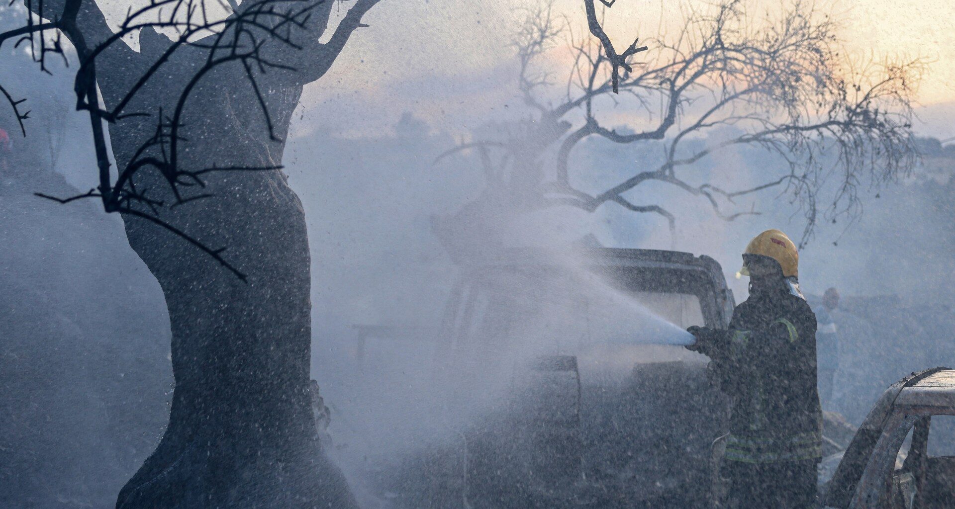 Palestine weekly: Olive harvest opens under assault | Israel-Palestine conflict News
