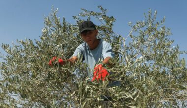 Two killed near Israeli-occupied area in south Lebanon | Conflict News