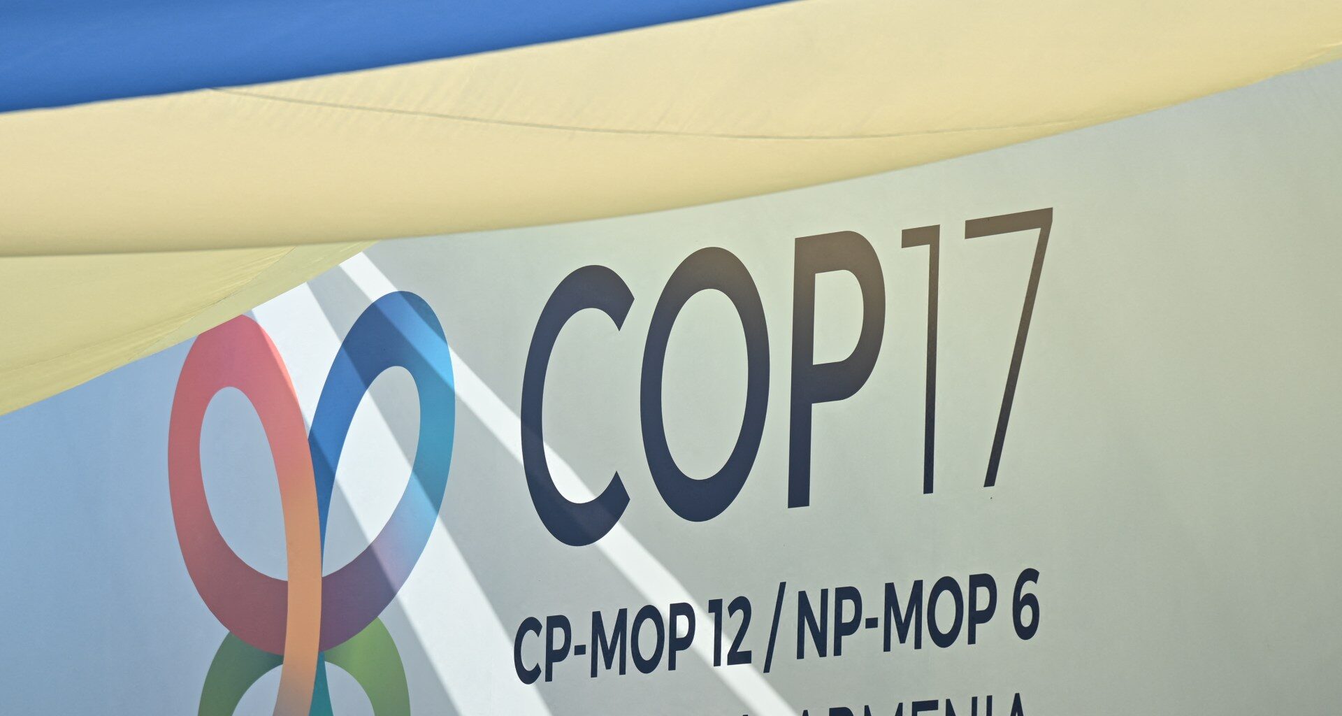 COP17 puts Armenia’s environmental record in the spotlight | Environment
