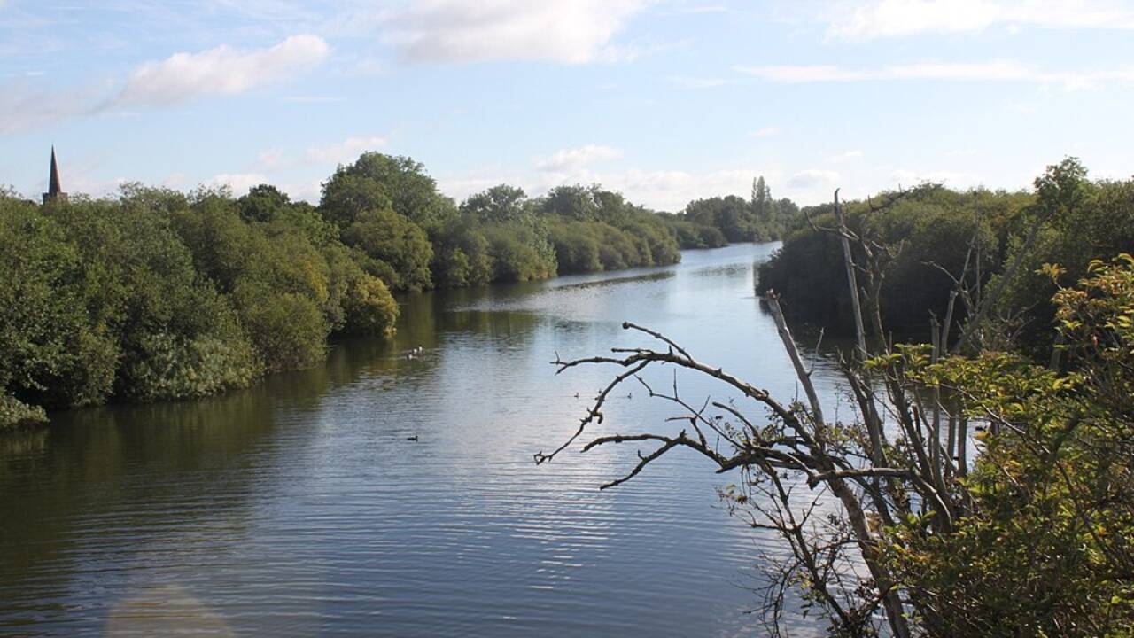 Attenborough Nature Reserve. Image credits: Wikimedia Commons Attenborough Nature Reserve 1