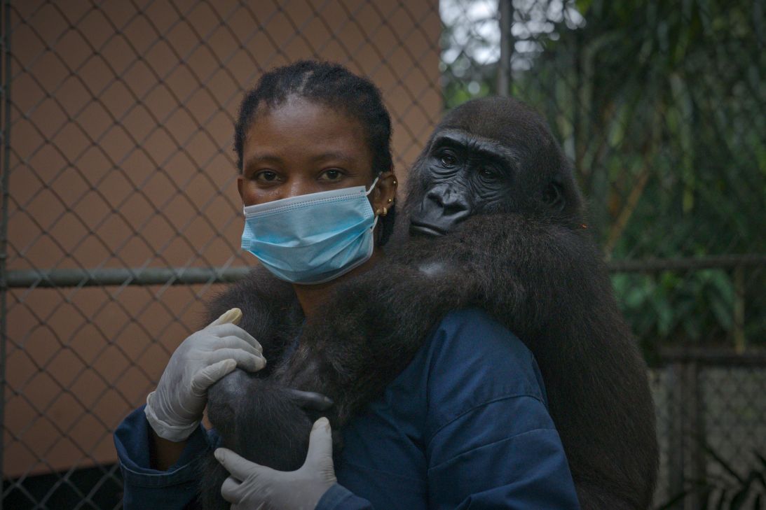 Bili and her carer Imelda Effiong, photographed in September at Drill Ranch, a Nigerian rescue center for primates operated by nonprofit Pandrillus.